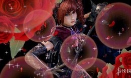 冬艳蔷薇在线观看,浪漫邂逅，暖冬恋曲